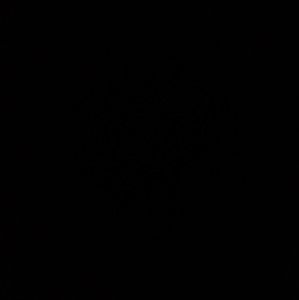 Meet your Posher, Peggie